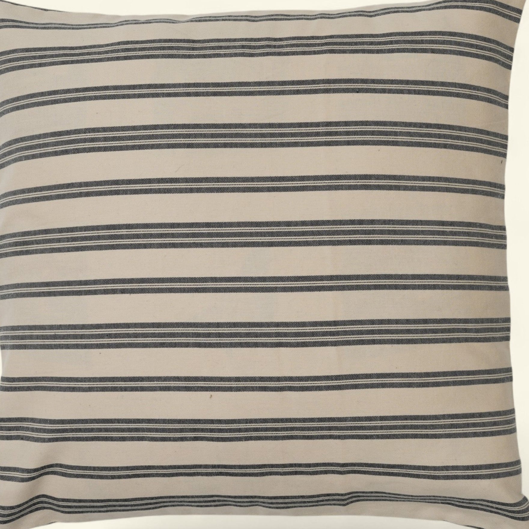 Black Stripe